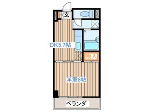 ＹＳＫコーポ卸町の物件間取画像